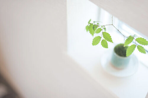 まりちゃんち外観