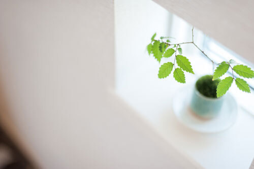 まりちゃんち外観